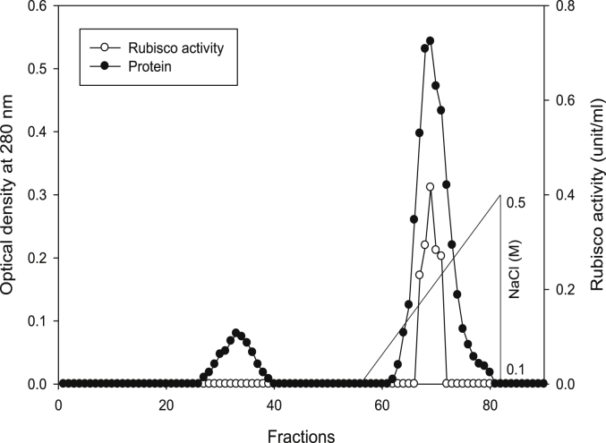 Fig. 7