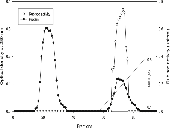 Fig. 9