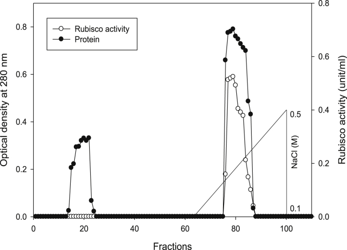 Fig. 4