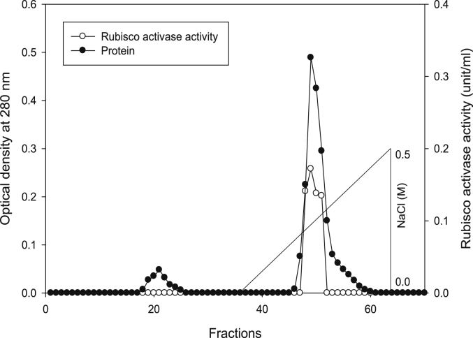 Fig. 16