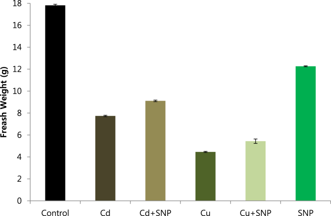 Fig. 2