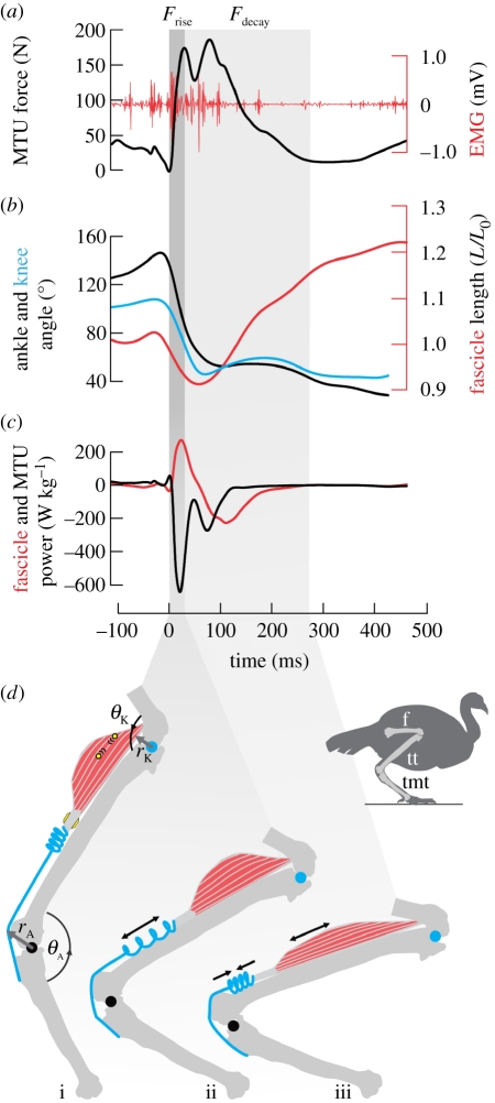 Figure 1.