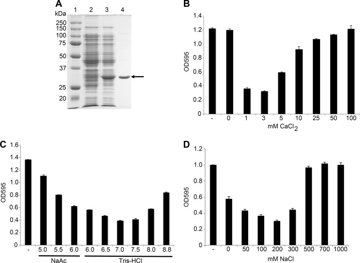 FIG 1