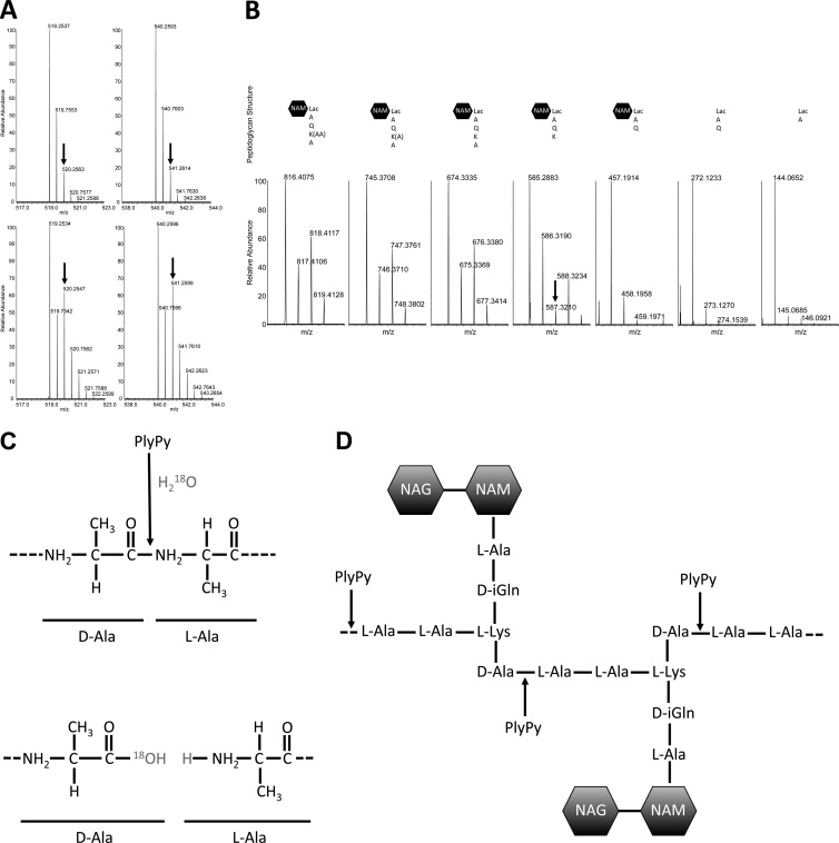 FIG 6