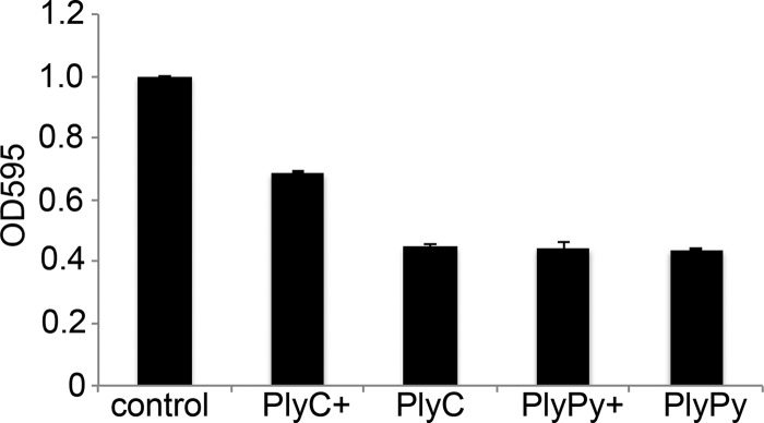 FIG 5