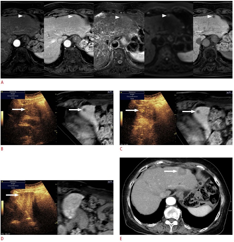 Fig. 7.