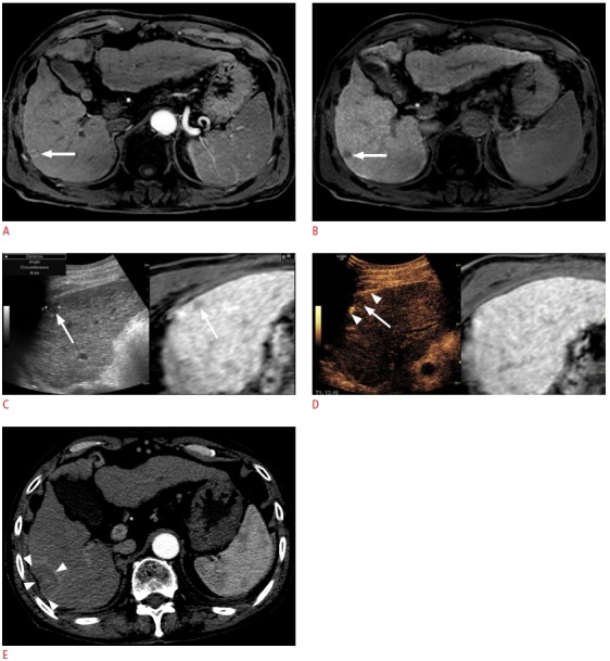 Fig. 8.