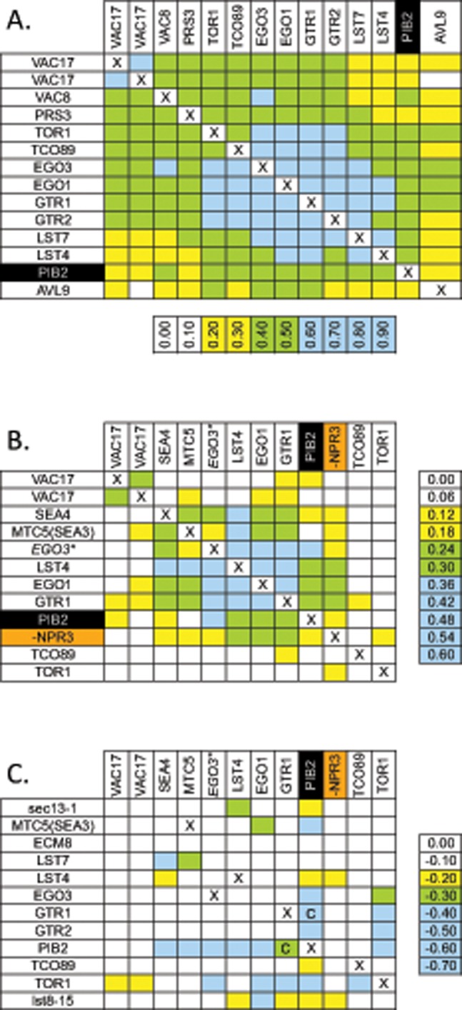 FIGURE 3: