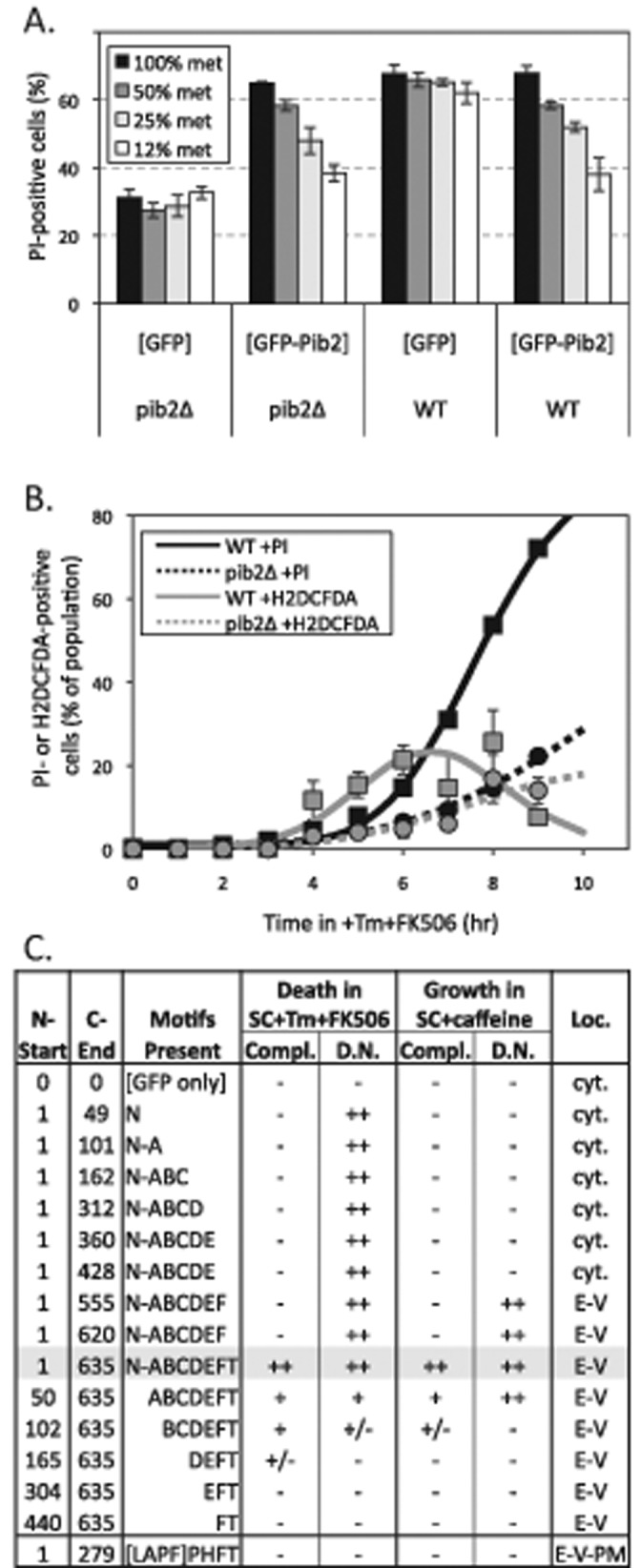 FIGURE 2: