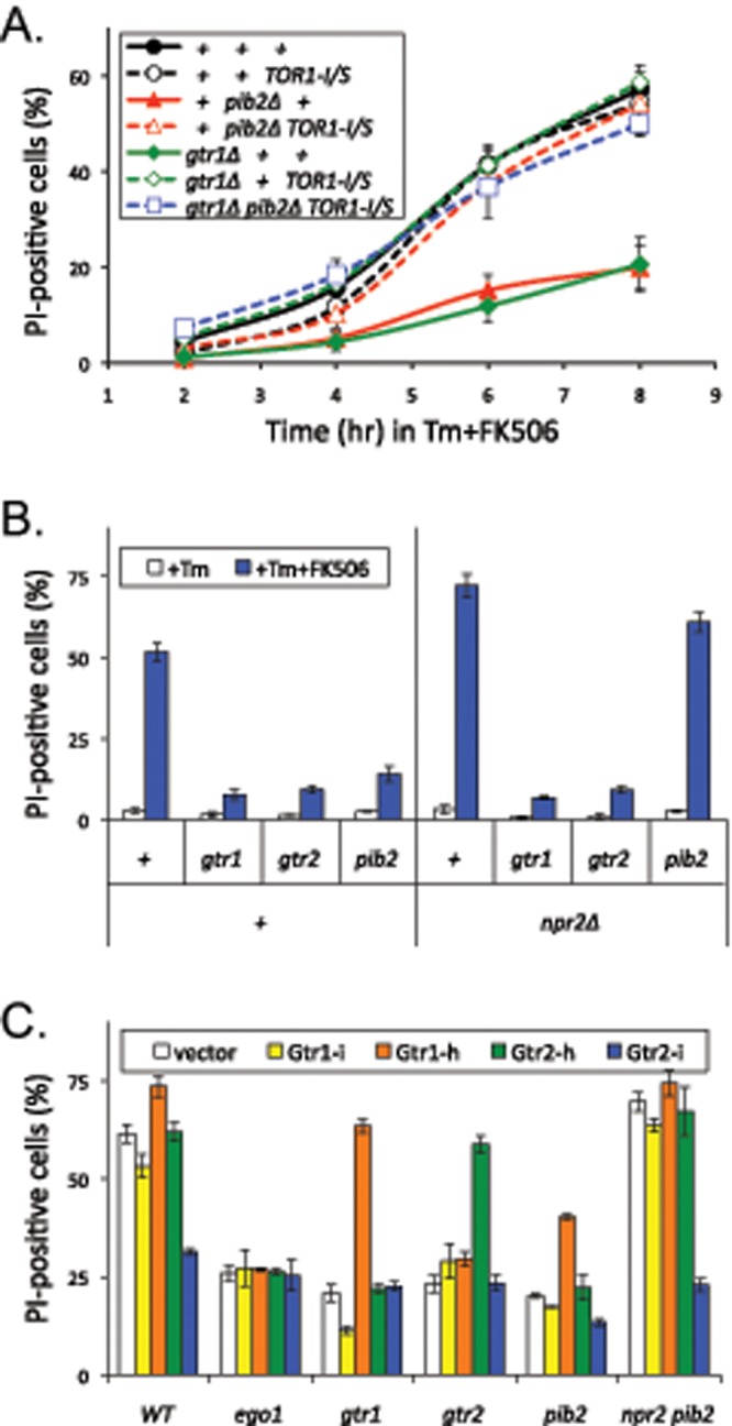 FIGURE 4: