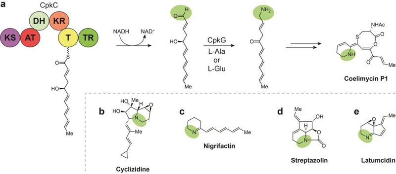 Fig. 11