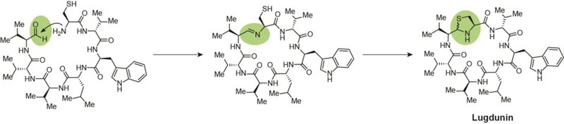 Fig. 9