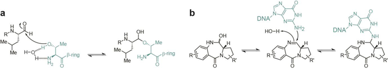 Fig. 19