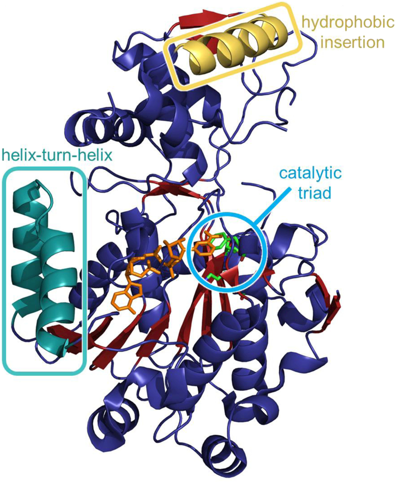 Fig. 3