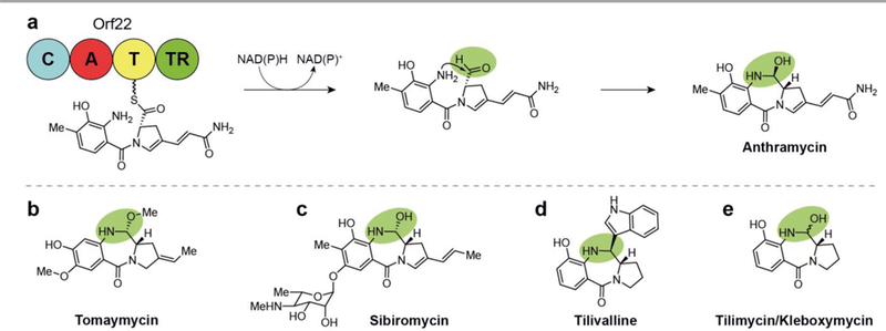 Fig. 12