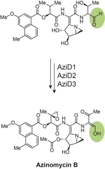 Fig. 7