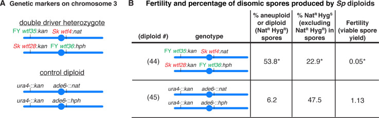 Figure 2—figure supplement 2.