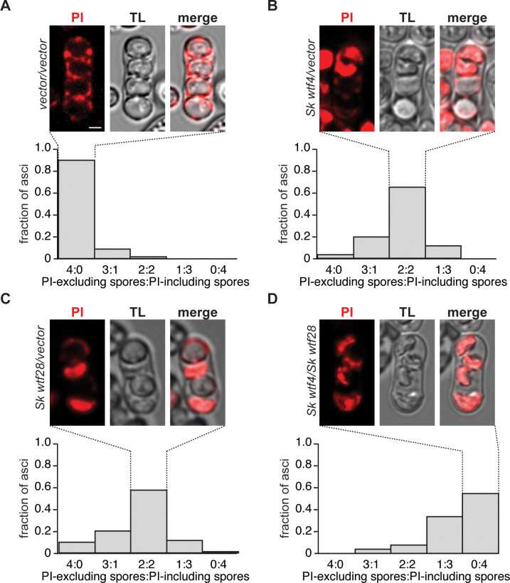 Figure 4—figure supplement 1.