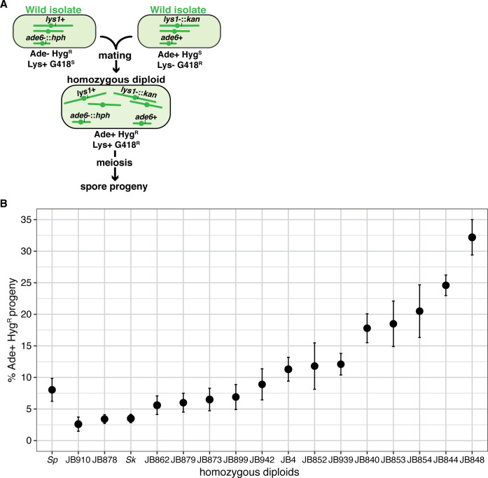 Figure 1—figure supplement 3.