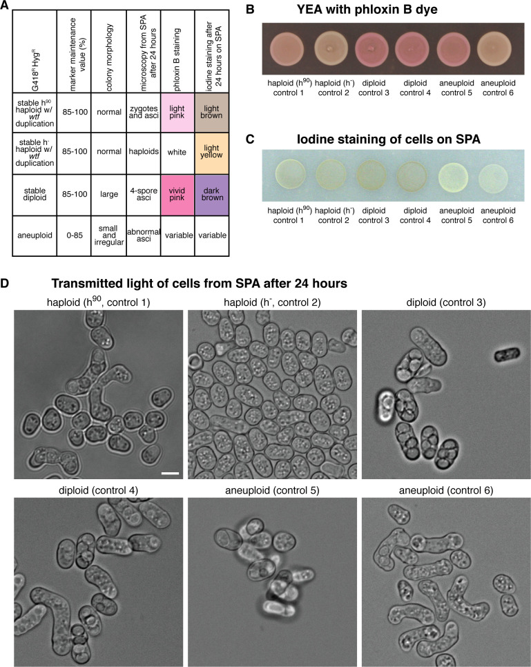 Figure 4—figure supplement 3.