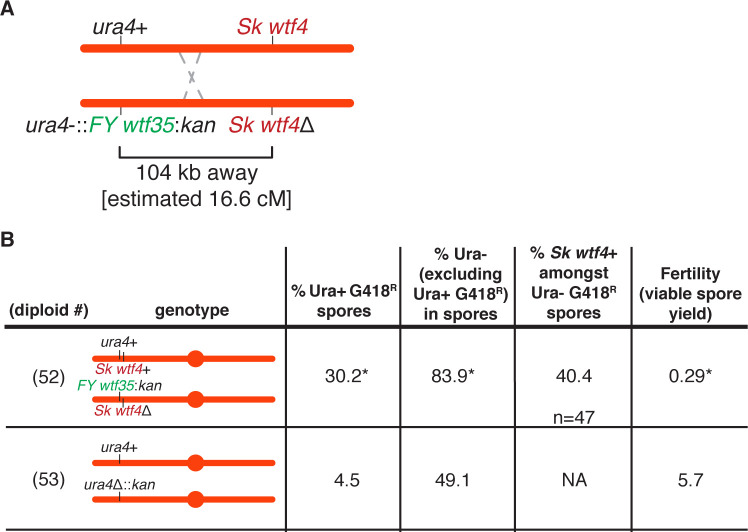 Figure 4—figure supplement 2.