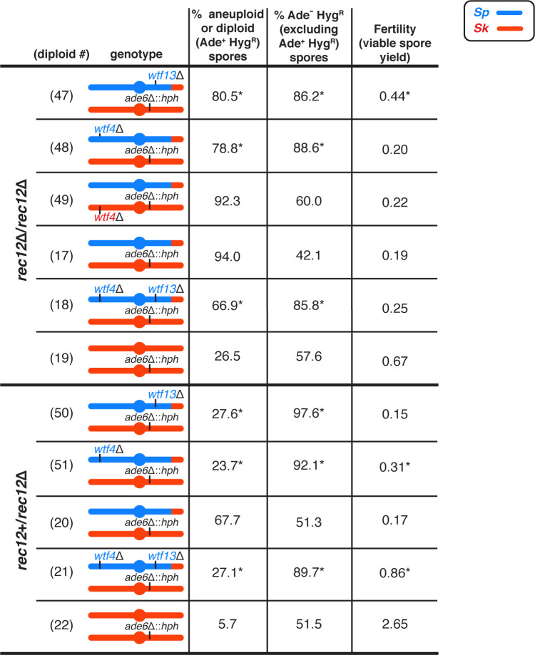 Figure 3—figure supplement 1.