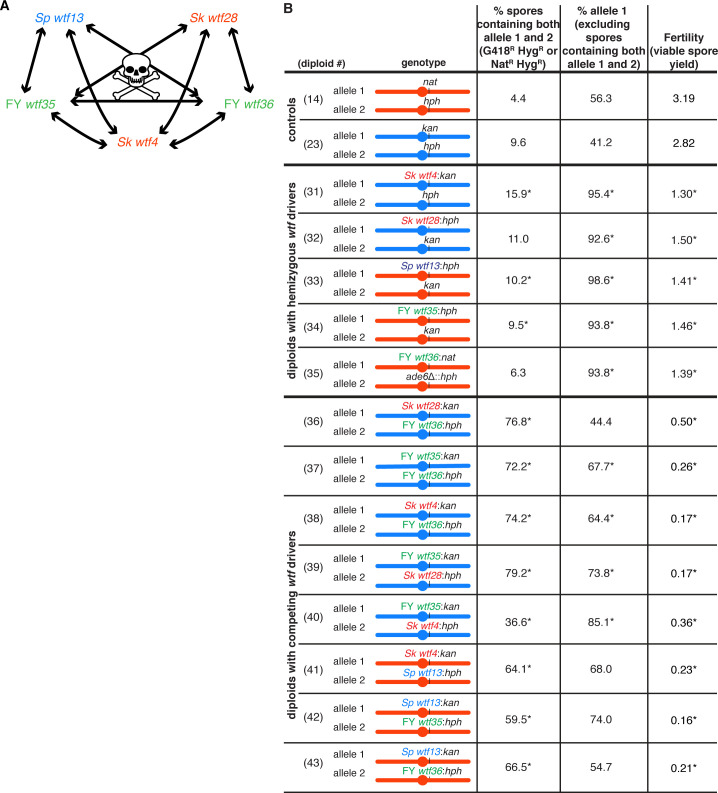 Figure 2—figure supplement 1.