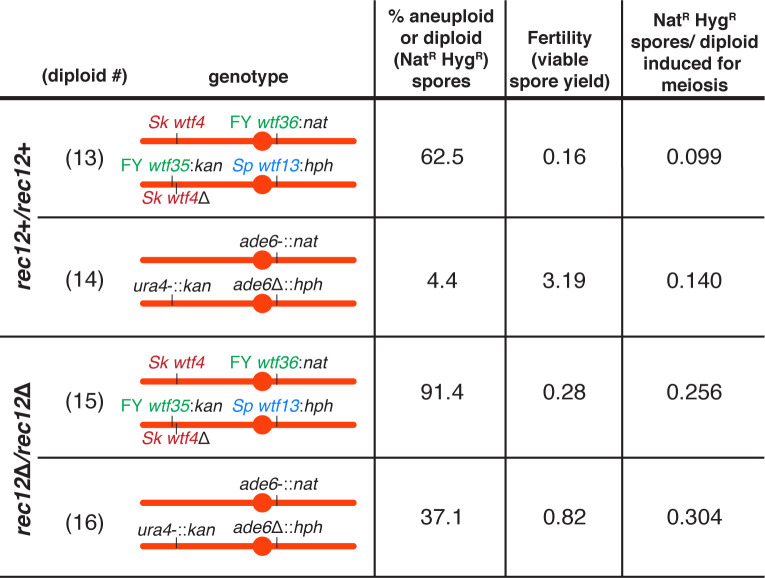 Figure 2—figure supplement 4.