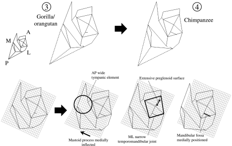 Fig. 8