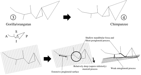 Fig. 9