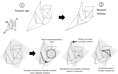 Fig. 5