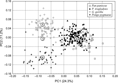 Fig. 7