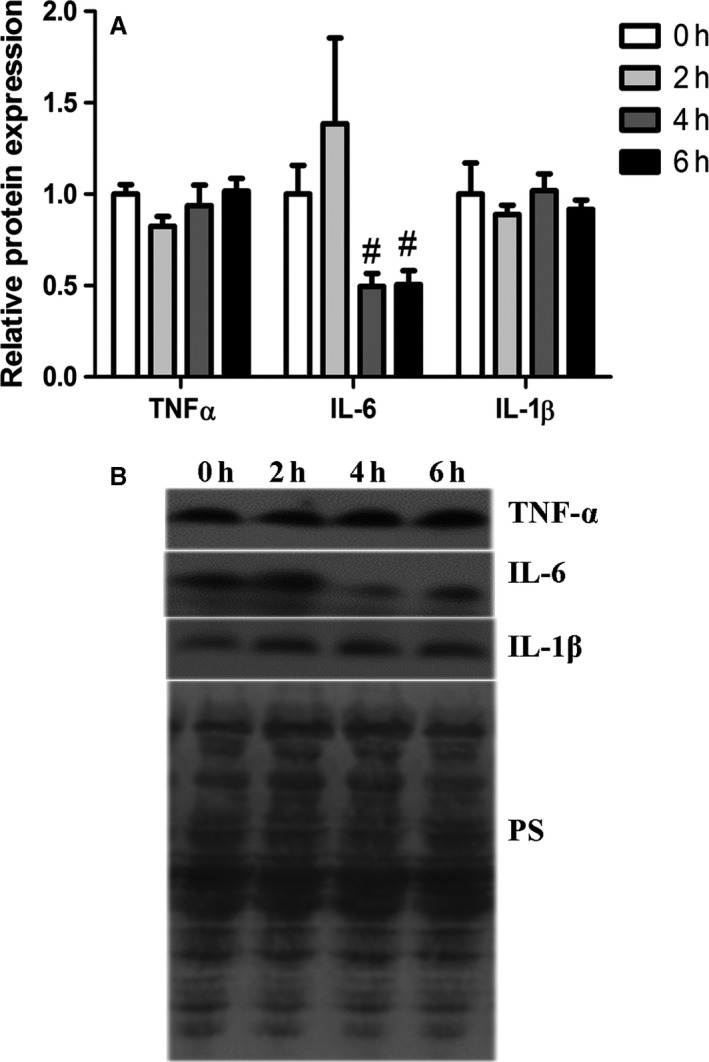 Figure 5