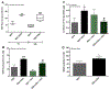 Fig. 2: