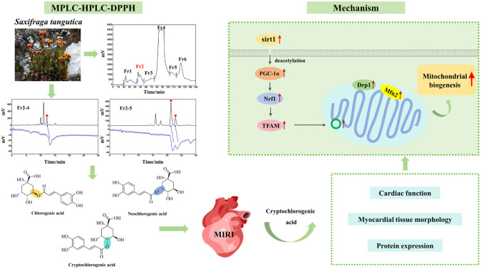 graphic file with name d4ra00046c-ga.jpg