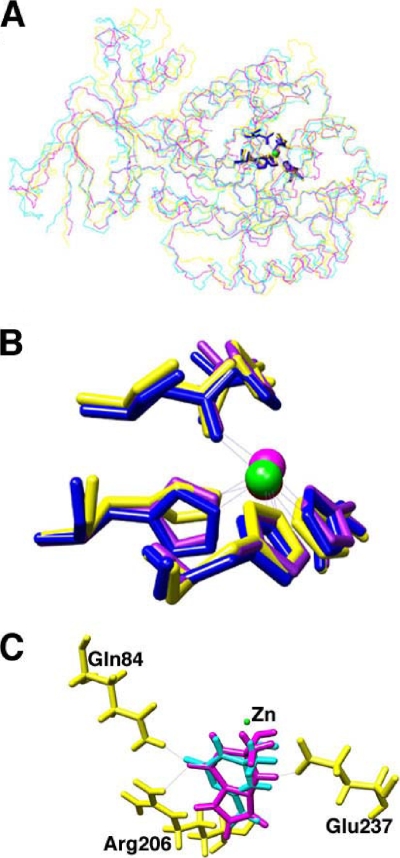 FIG. 5.