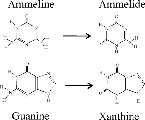 FIG. 6.