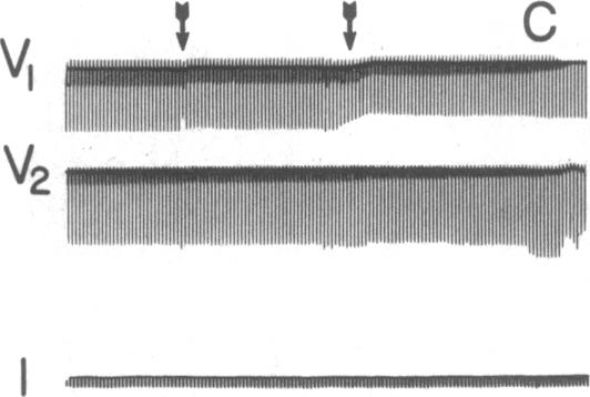 graphic file with name pnas00348-0225-a.jpg