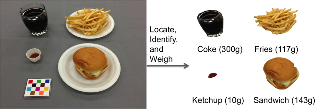 Fig. 1