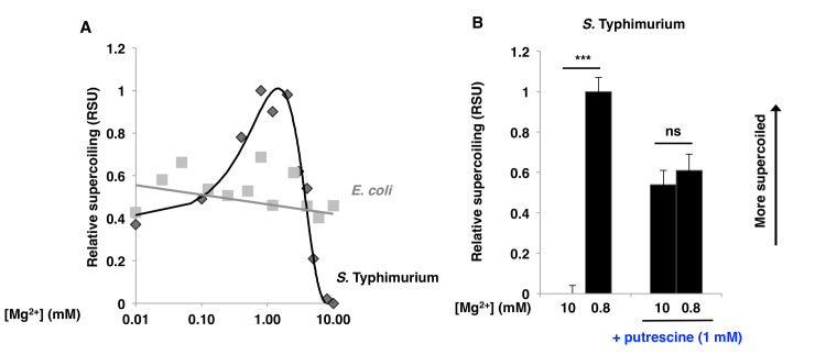 Fig 5