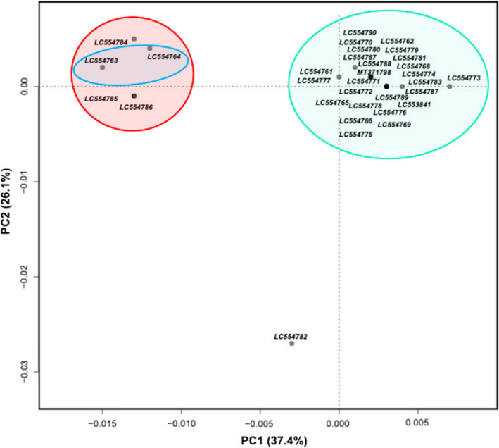 FIGURE 6