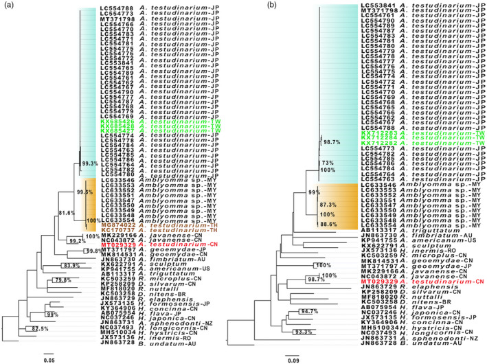 FIGURE 2