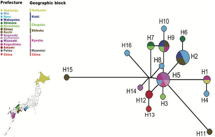 FIGURE 4