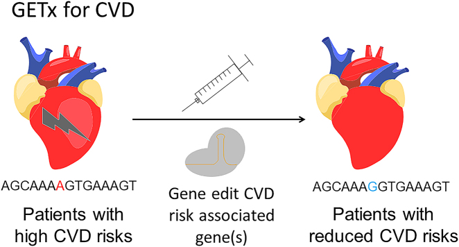 Figure 1: