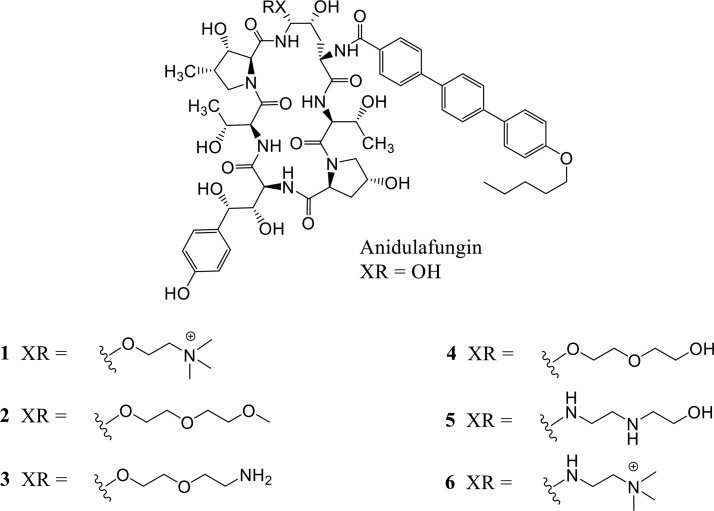 FIG 2