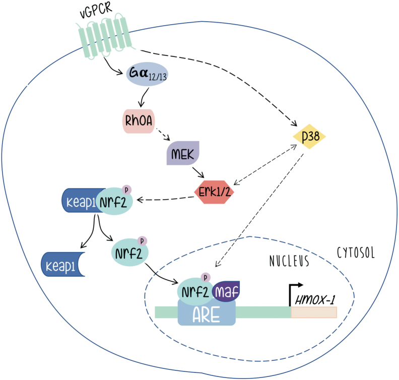 FIG. 6.