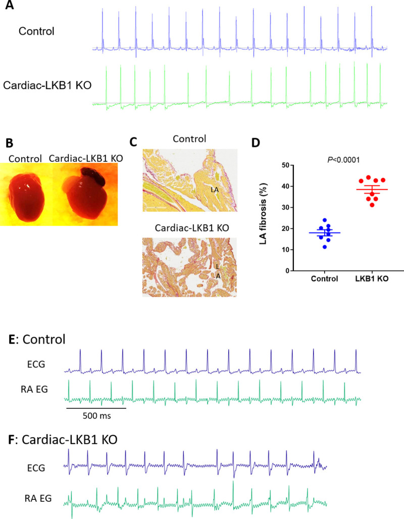 Fig 4