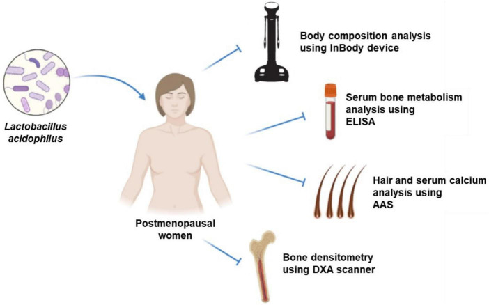 FIGURE 2