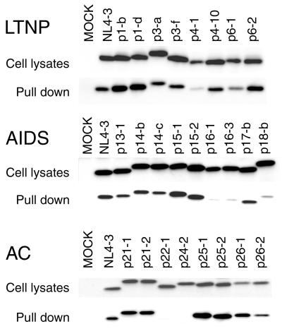 FIG. 7.