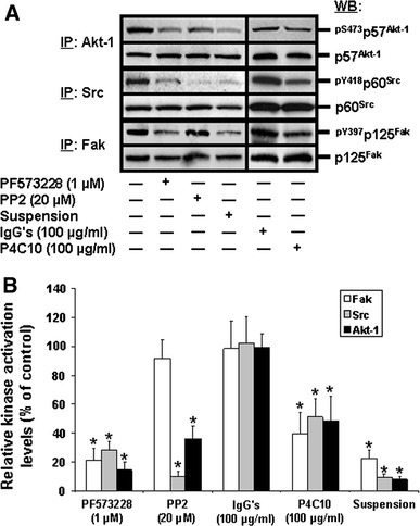 Fig. 6